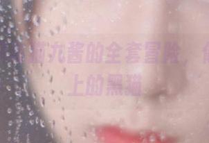 黑白交织与猫九酱的全套冒险，像是丝绸上的黑猫