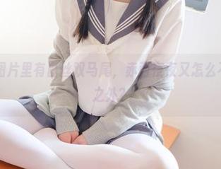 稚乖画册 – 图片里有白丝双马尾，赤西夜夜又怎么不停留在画面之外？